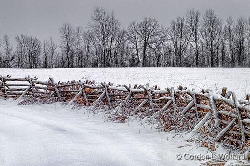 Snowy Rail Fence_DSCF03747.jpg - Photographed near Smiths Falls, Ontario, Canada.